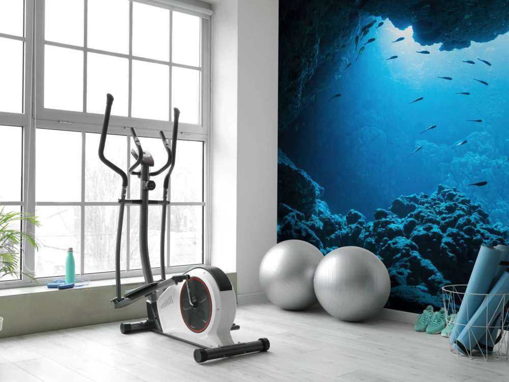 Podwodna jaskinia z rybami