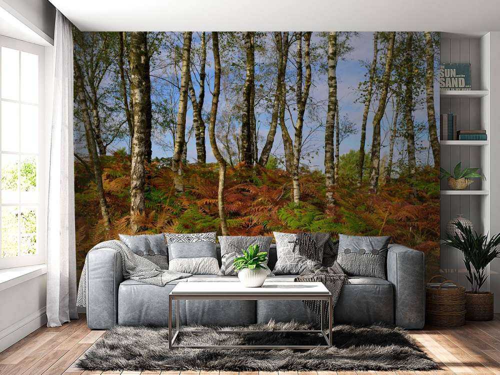 Brzozy z kolorowymi paprociami