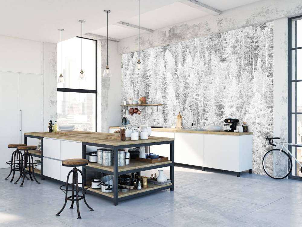 Drzewa iglaste w czerni i bieli