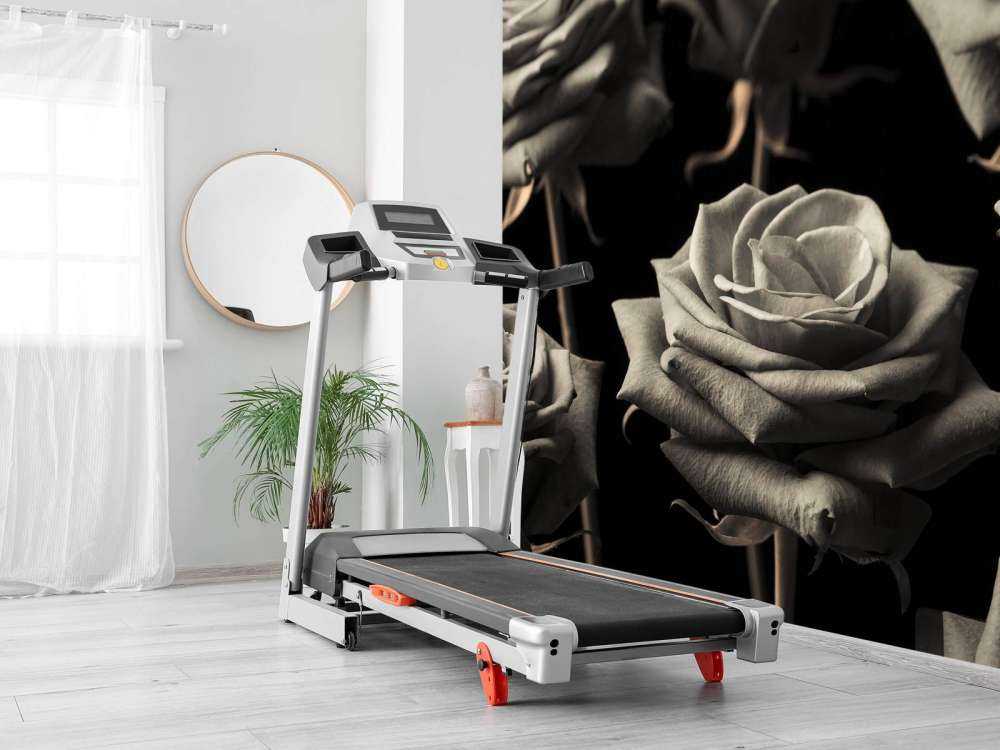 Róże w kolorze sepii