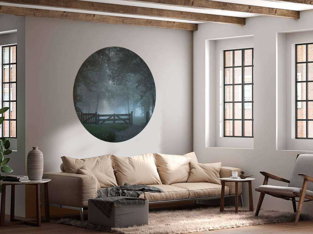 Zamglona ścieżka leśna