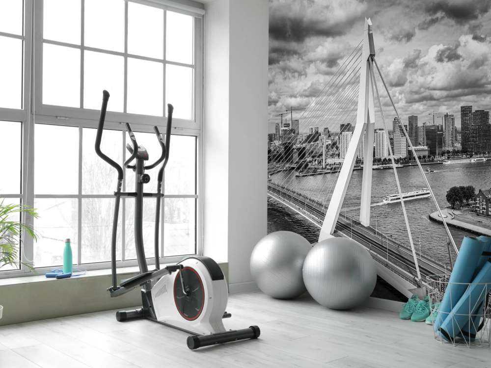 Centrum Rotterdamu z dużej wysokości w czerni i bieli 