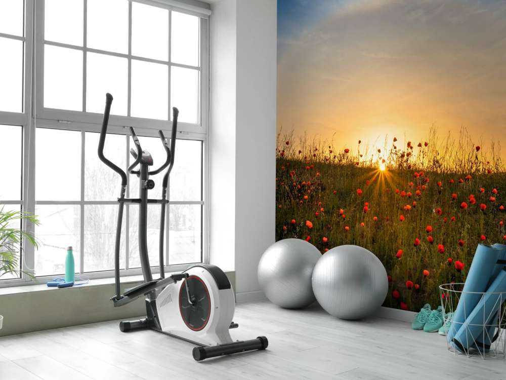 Red poppies and sunrise