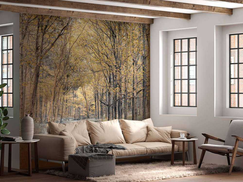 Leśna droga w okresie jesiennym