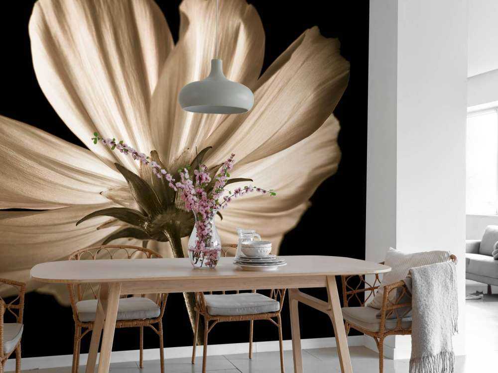 Kwiat kosmosu od dołu