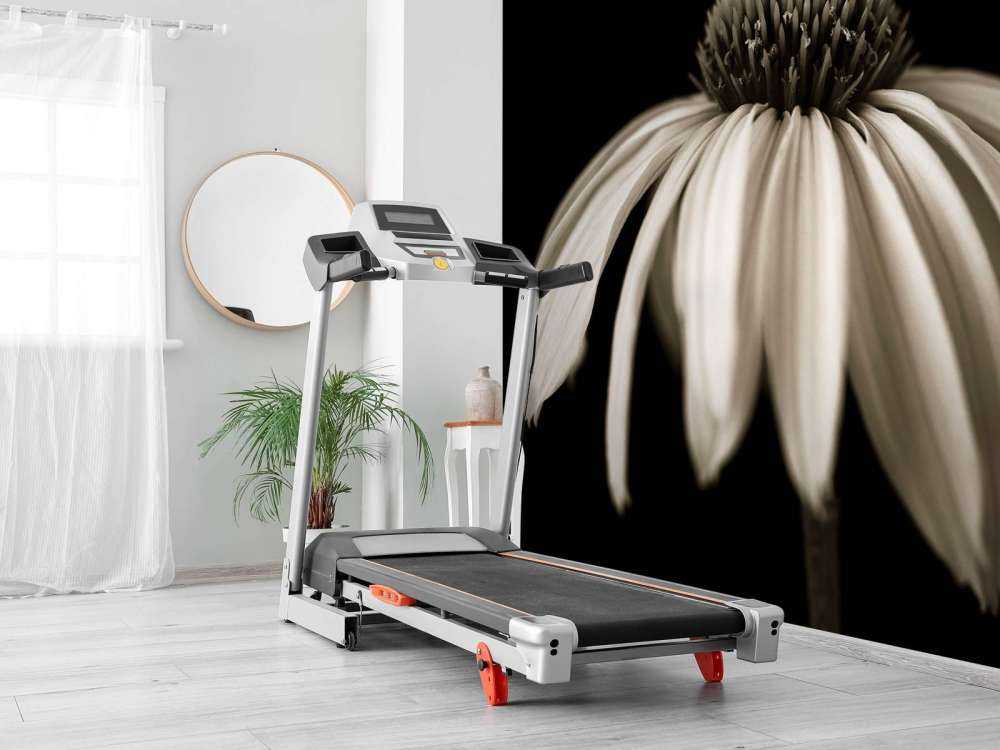 Zbliżenie na kwiat stożka