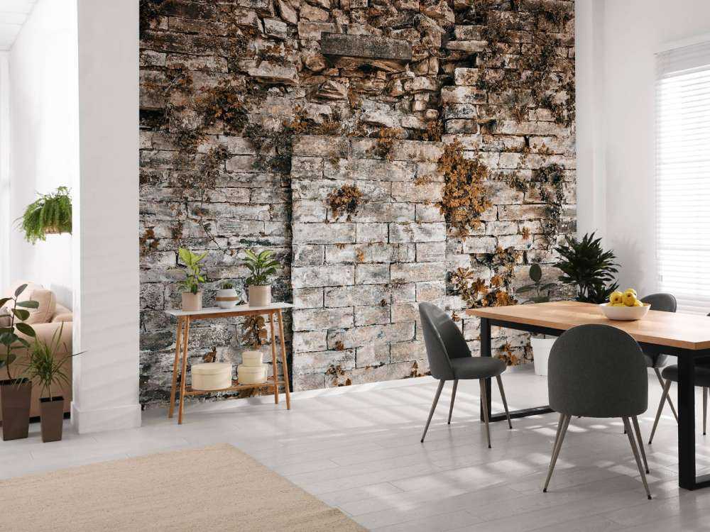 Ściana pokryta roślinnością jesienią