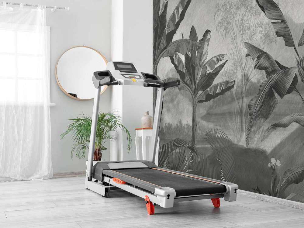 Drzewa bananowe w czerni i bieli