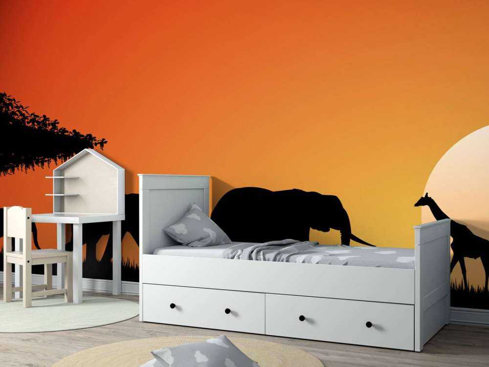 Safari o zachodzie słońca