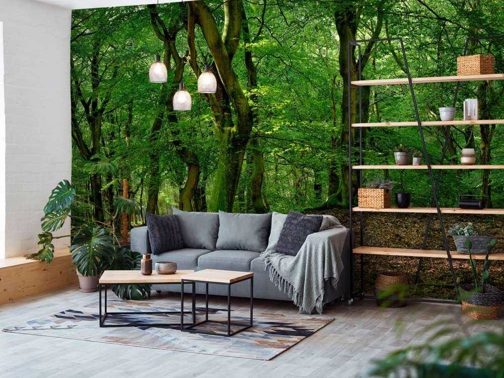 Drzewa z zielonymi liśćmi 