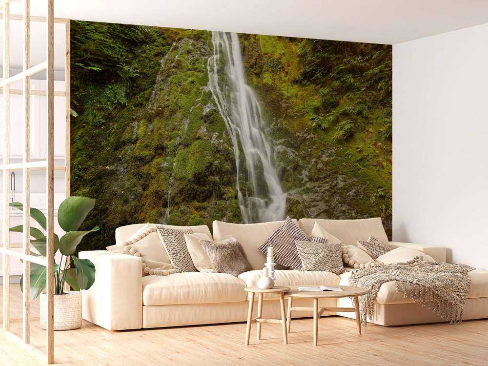 Wodospad z piękną zielenią 