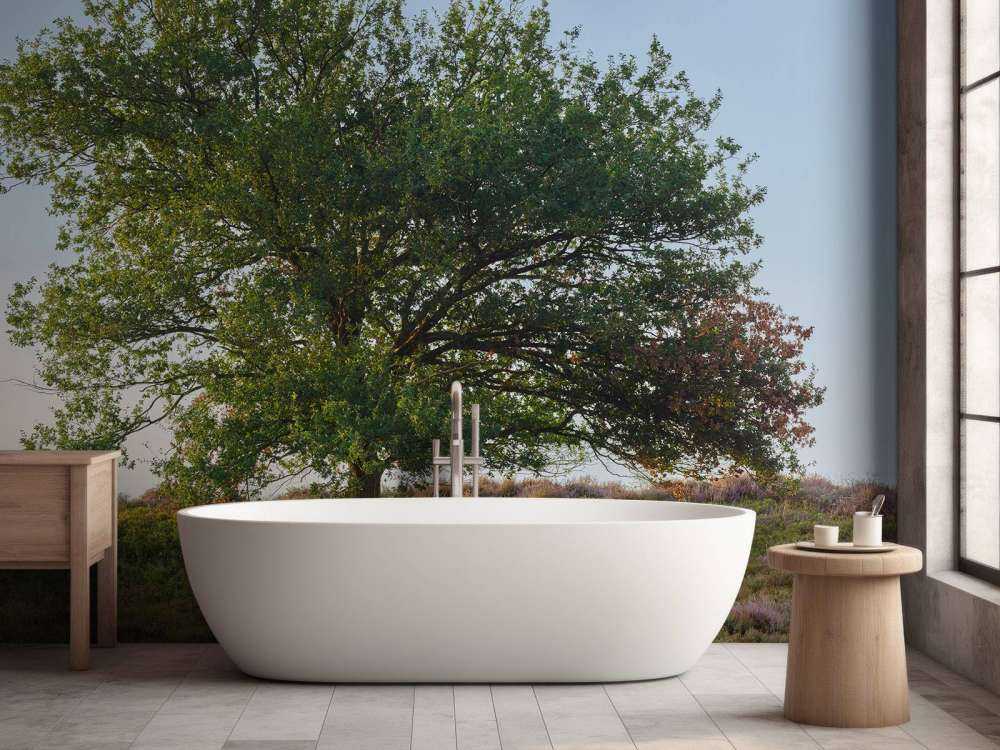 Samotne drzewo na wrzosowisku