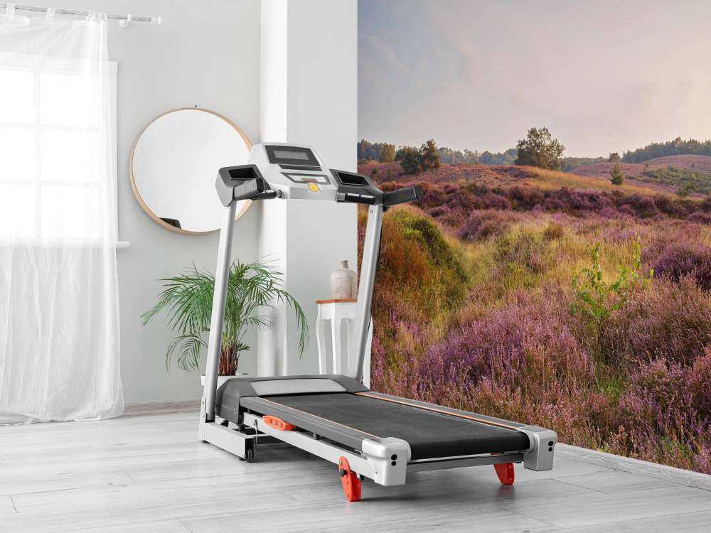 Heathland o wschodzie słońca