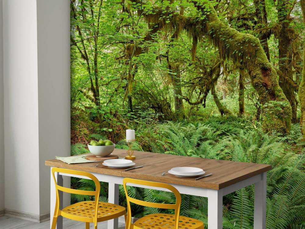 Paprocie w starym lesie