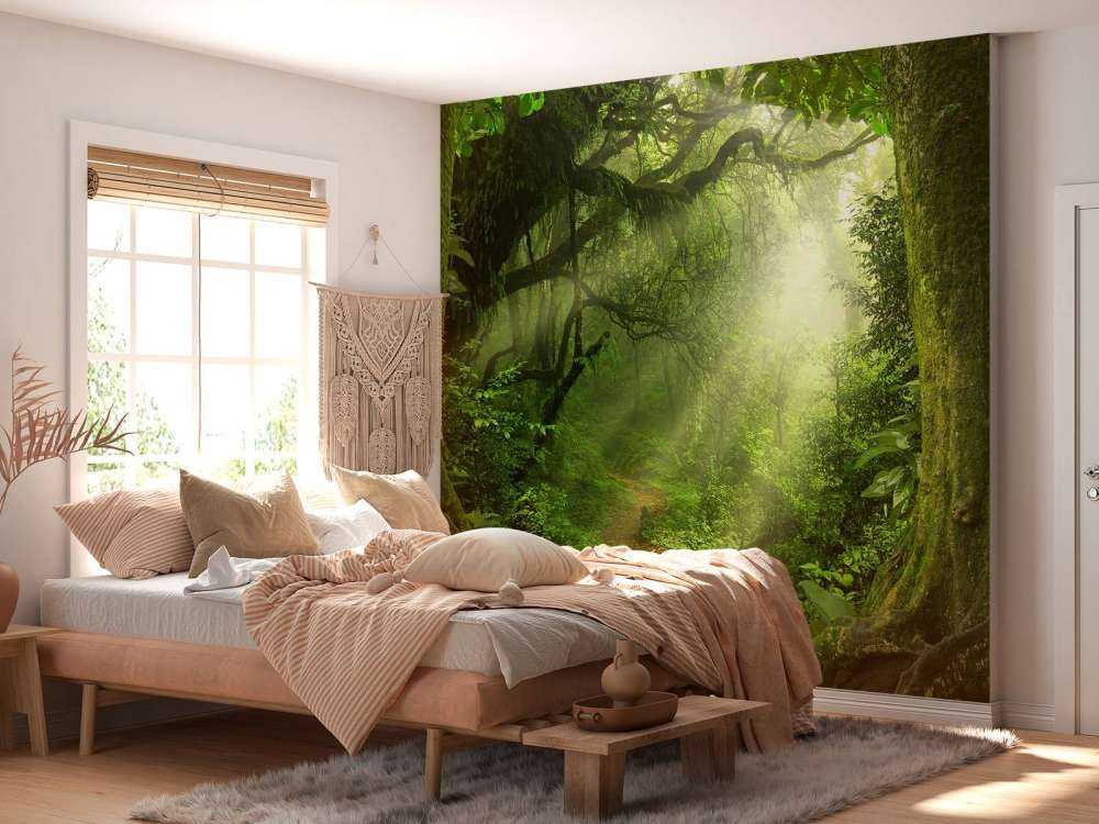 Dżungla z promieniami słońca