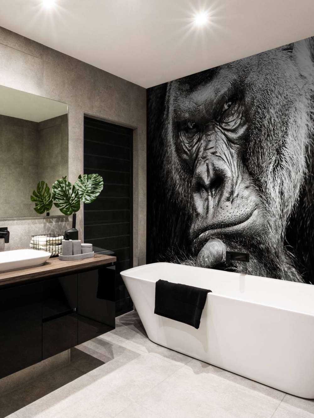 Zbliżone zdjęcie goryla