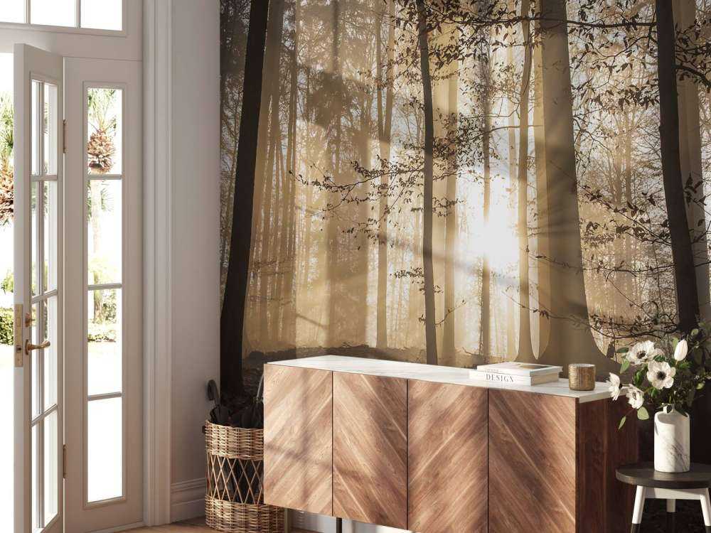 Słońce w mglistym lesie