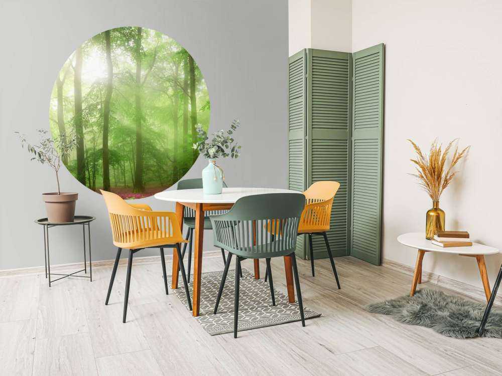 Zielona panorama leśna