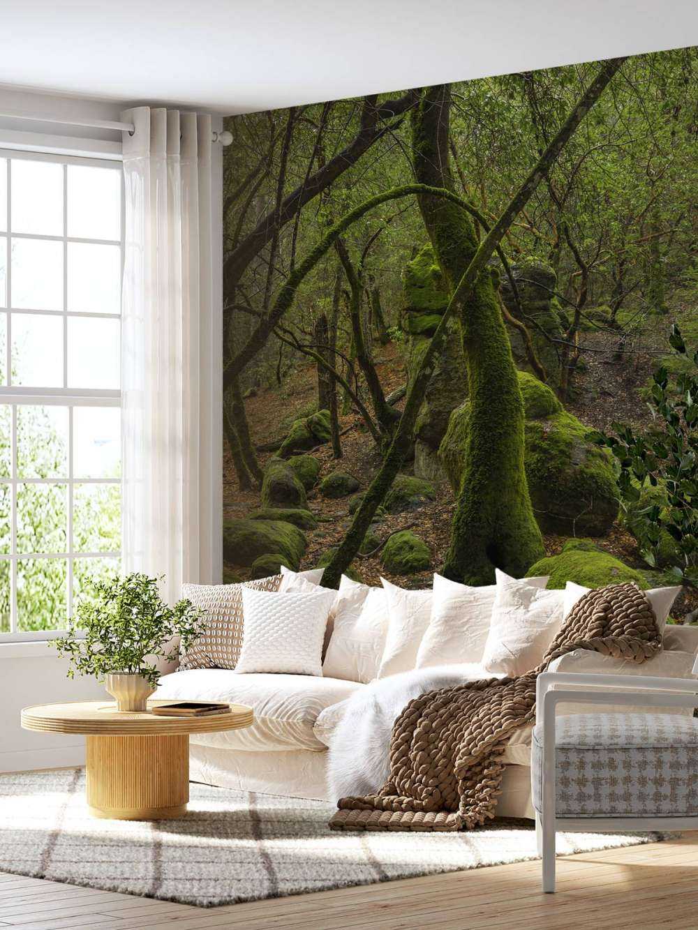 Drzewa i kamienie mchowe