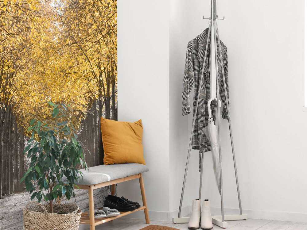 Ścieżka wśród drzew