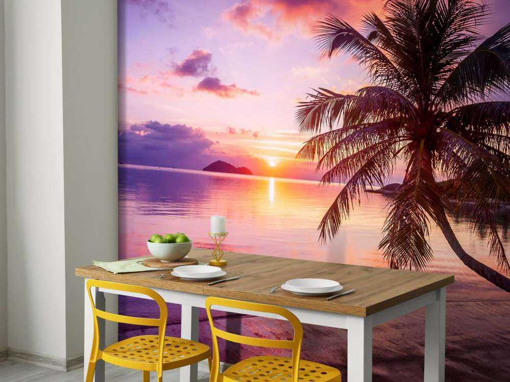 Palma przy zachodzie słońca