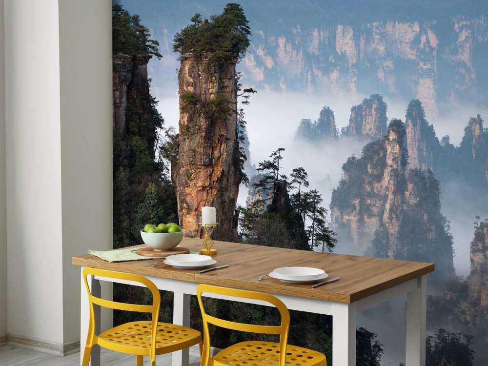 The general ordered the troops