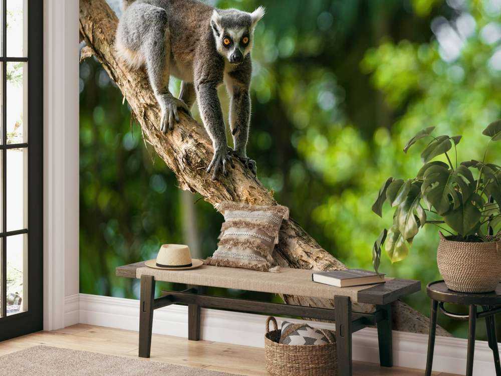 Małpa włochata na drzewie