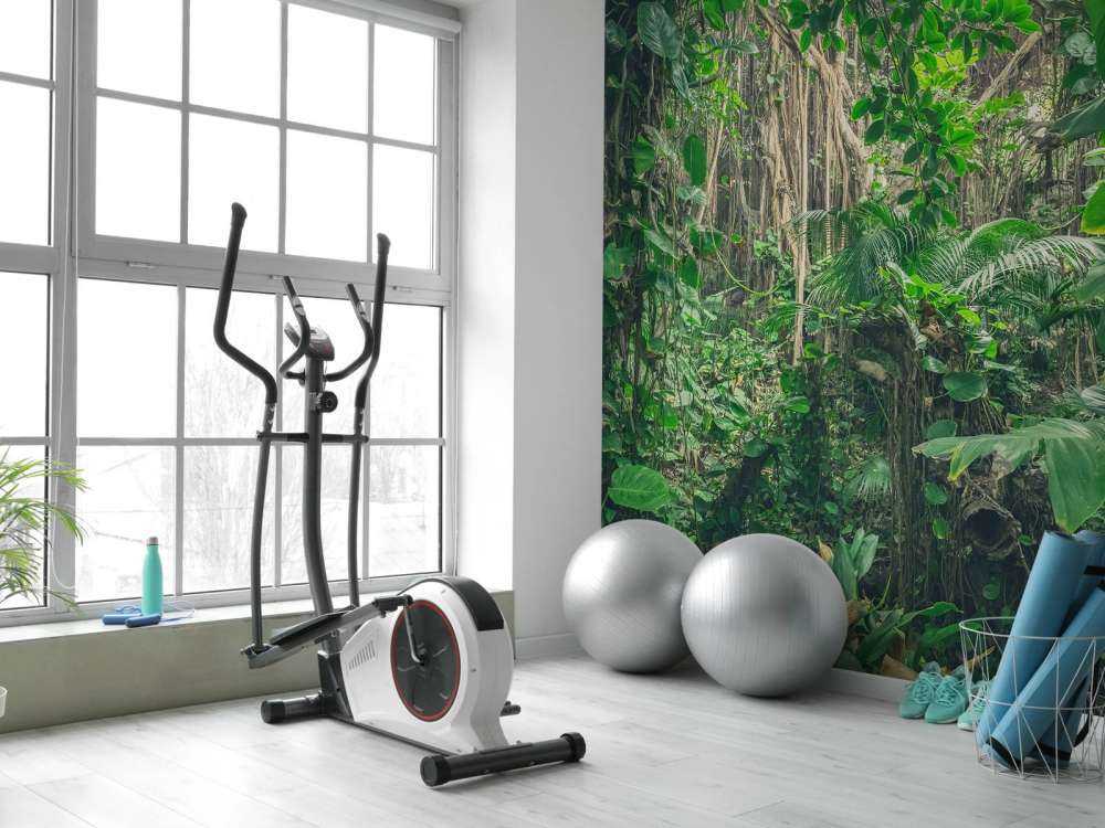 Gałęzie w lesie deszczowym