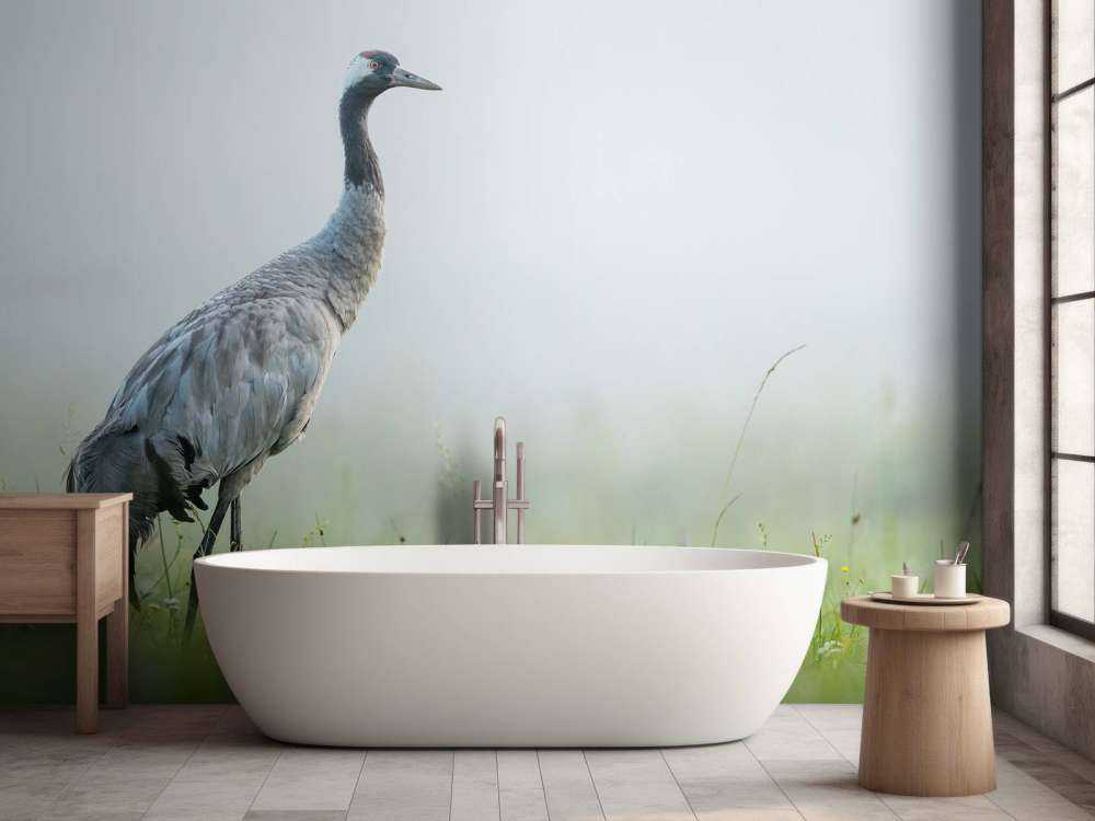 Żuraw w porannej mgle