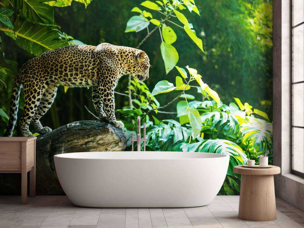 Leopard na skale