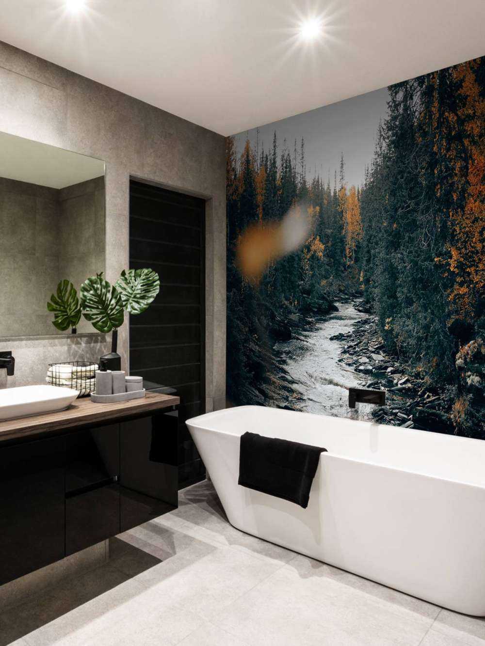 Zaczarowany jesienny las