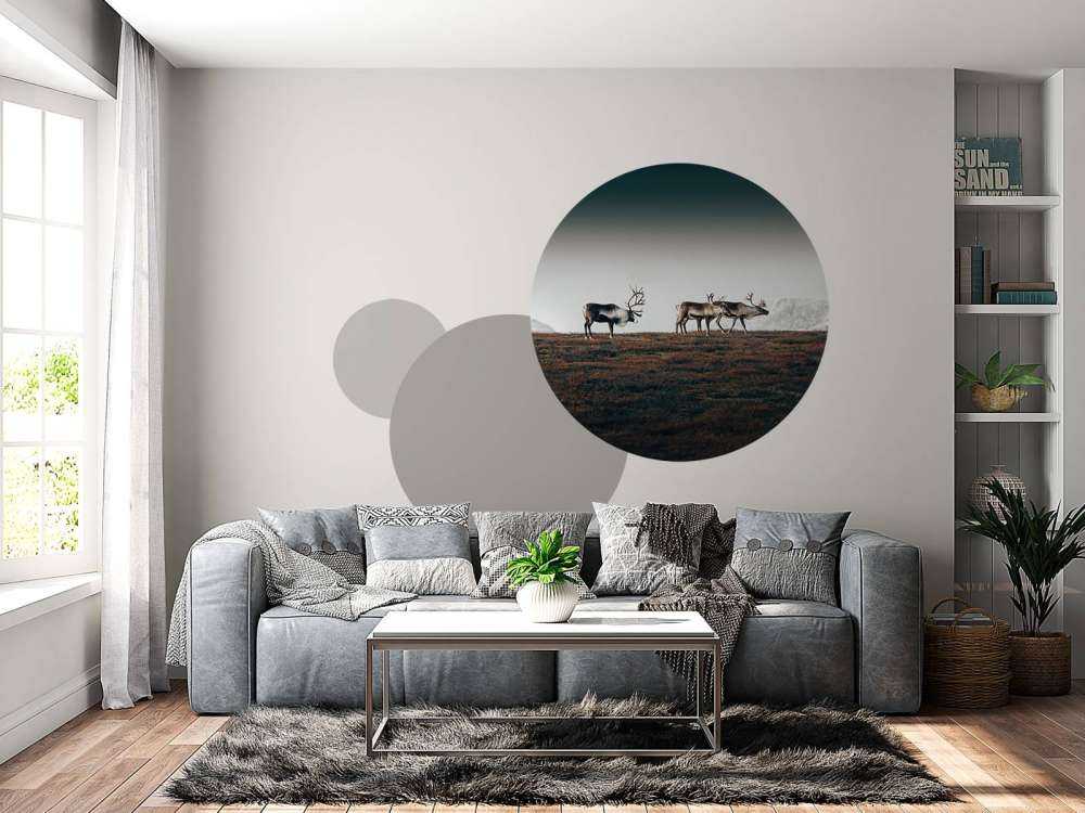 Grupa reniferów w północnej Europie