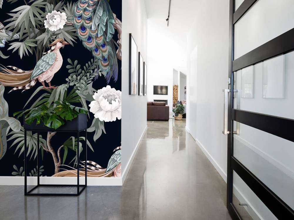 Paw w nocnym rozkwicie