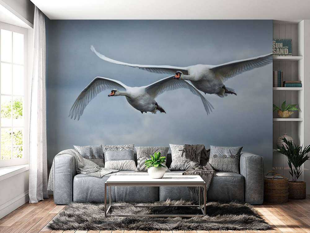 Latające łabędzie