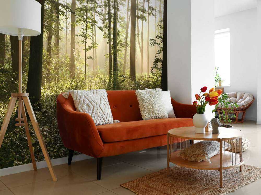 Mglisty las liściasty