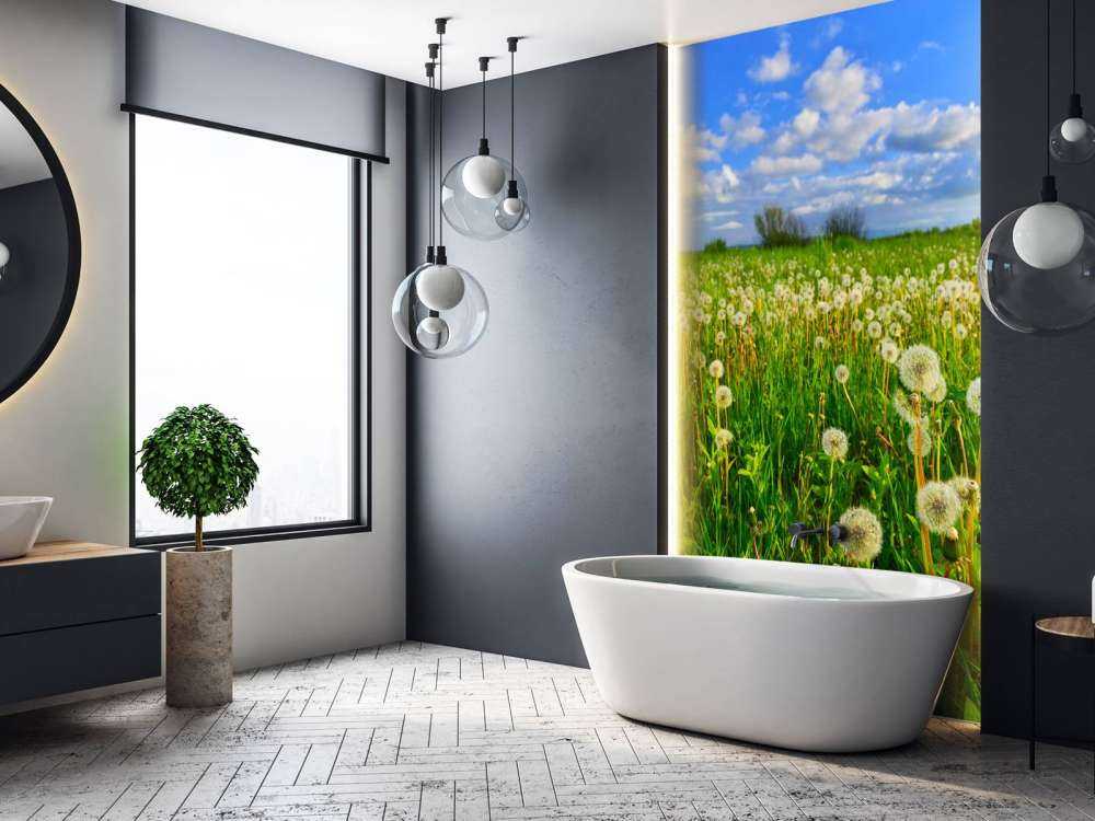 Pole mniszków lekarskich