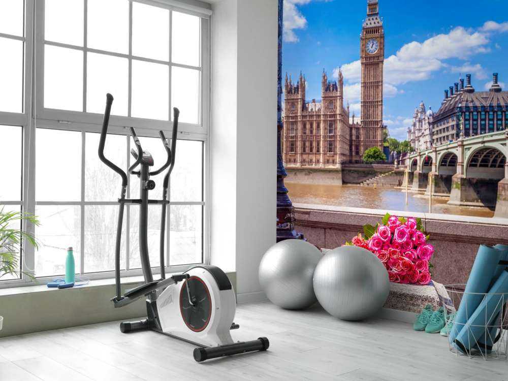 Różowe róże w Londynie