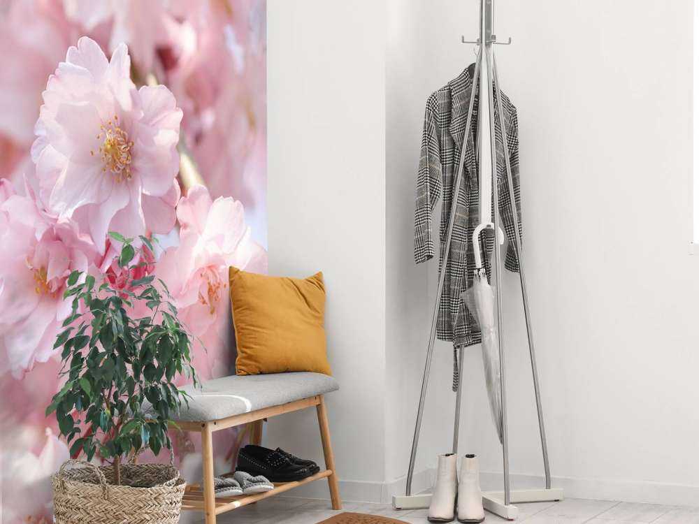 Zbliżenie na różowe kwiaty