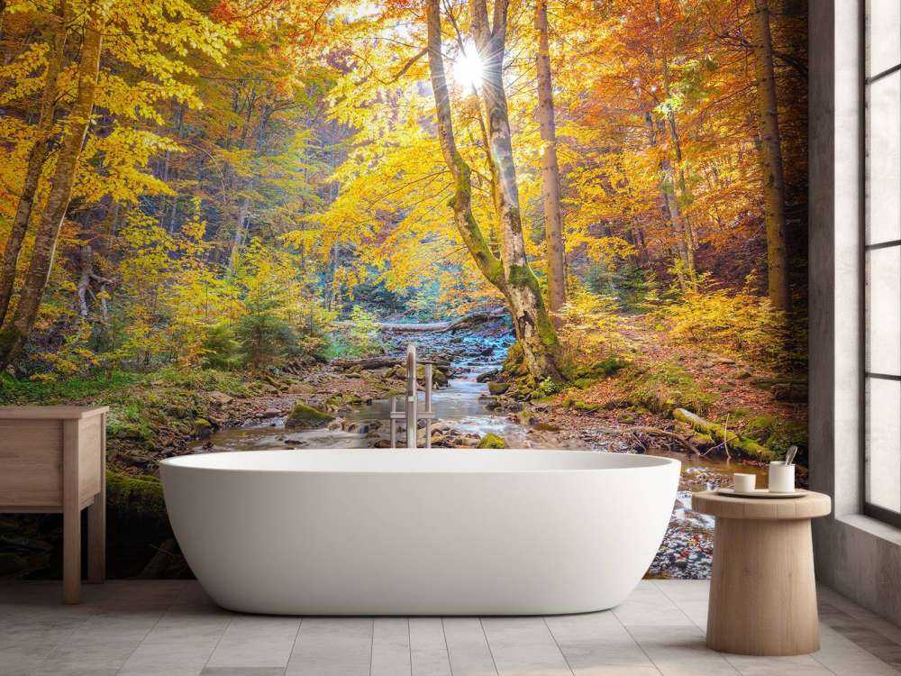 Jesień w dzikim lesie