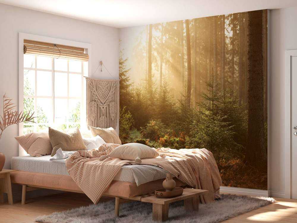 Promienie słońca przez las