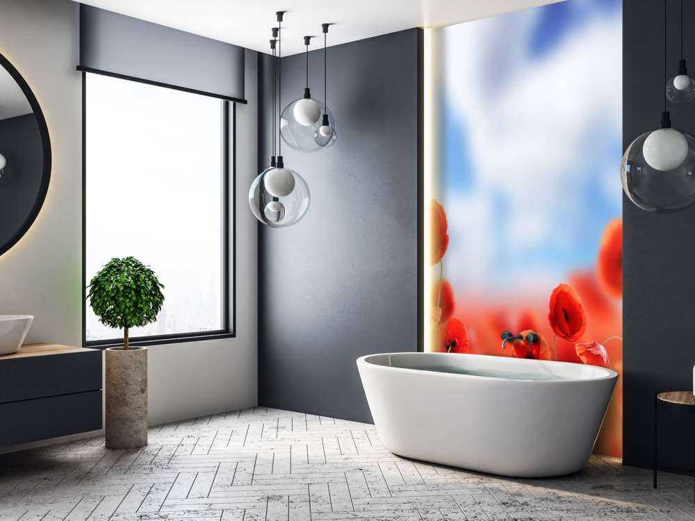 Błękitne niebo i czerwone maki