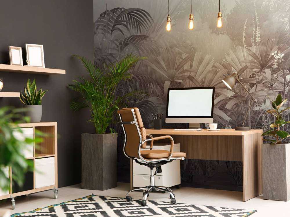 Poranek w Tropikalnym Ogrodzie Fioletowym