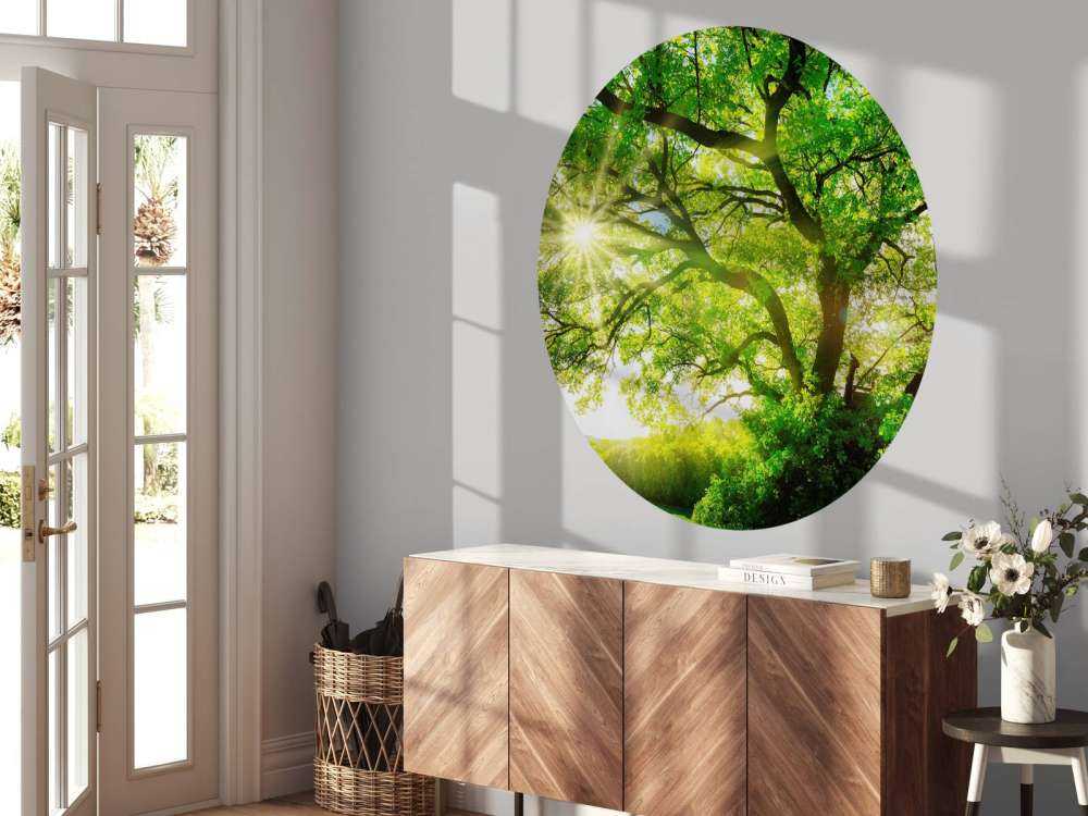 Drzewo z promieniami słońca