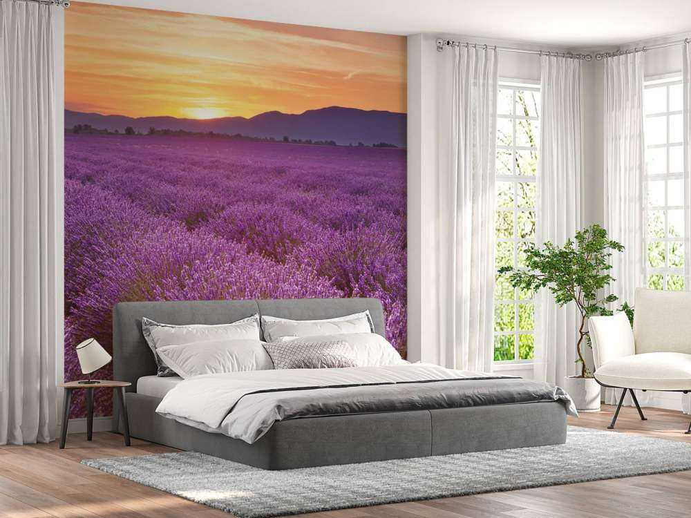 Pole pełne lawendy.