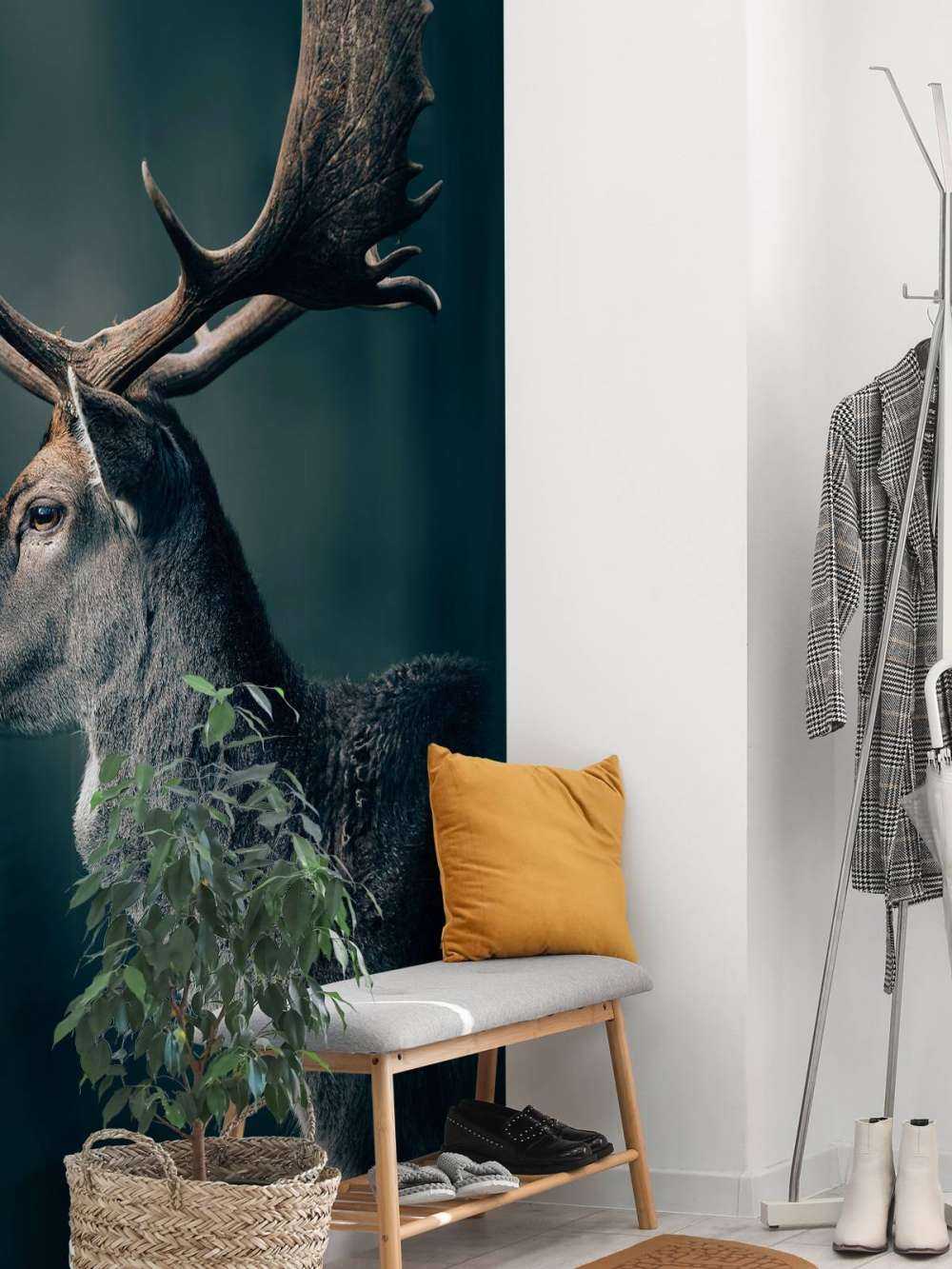 Jeleń daniel zbliżenie