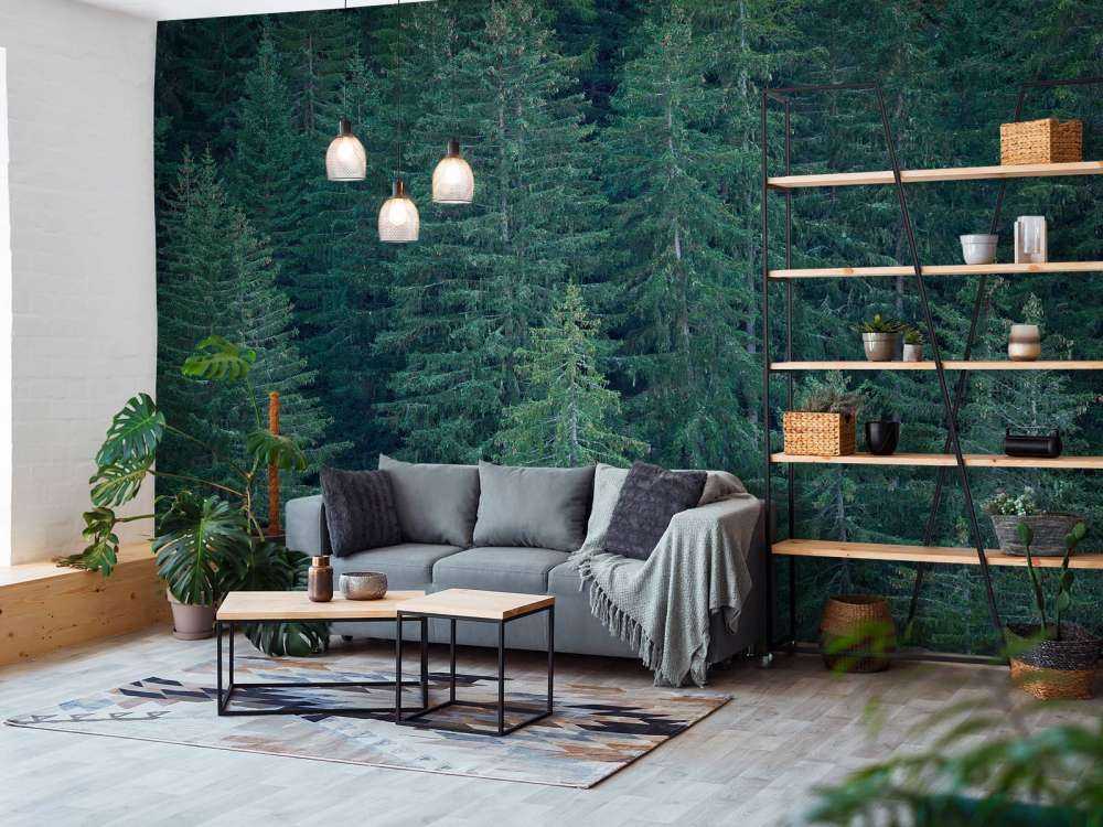 Drzewa iglaste z szyszkami sosnowymi