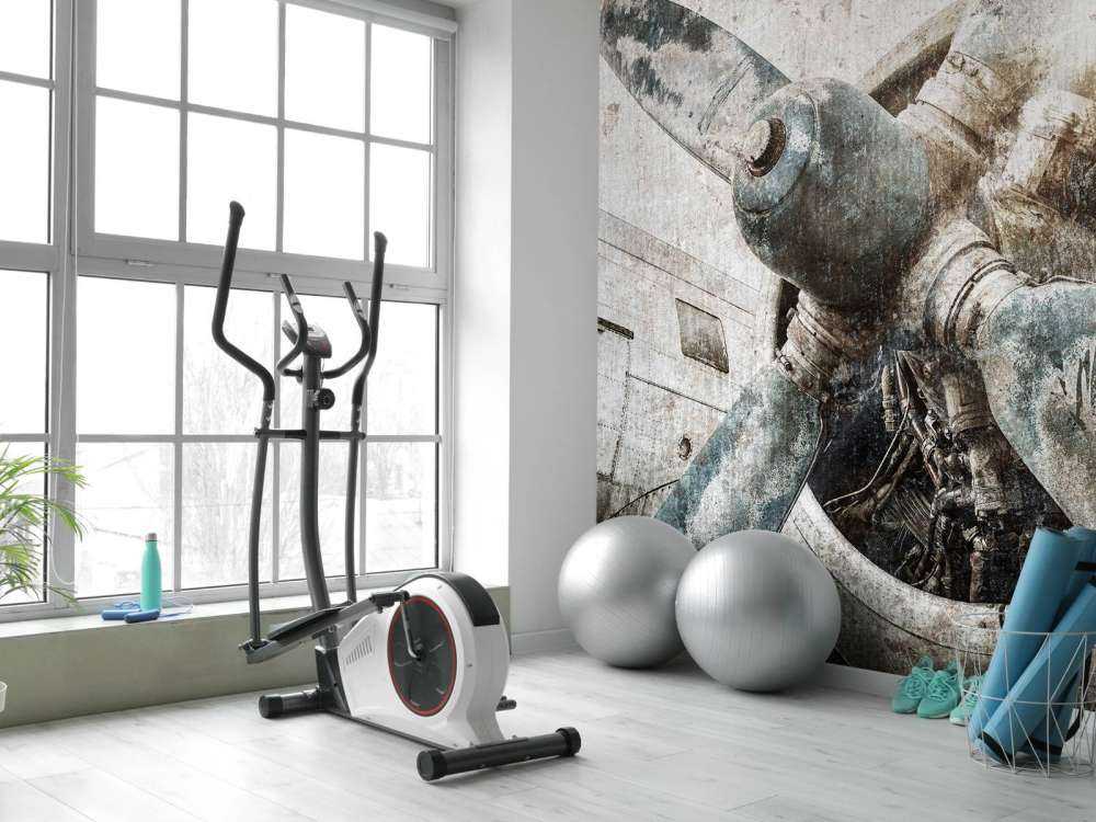 Silnik samolotu zabytkowego