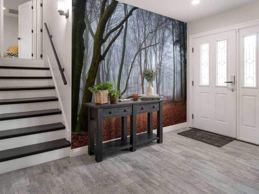 Tajemniczy, zamglony las