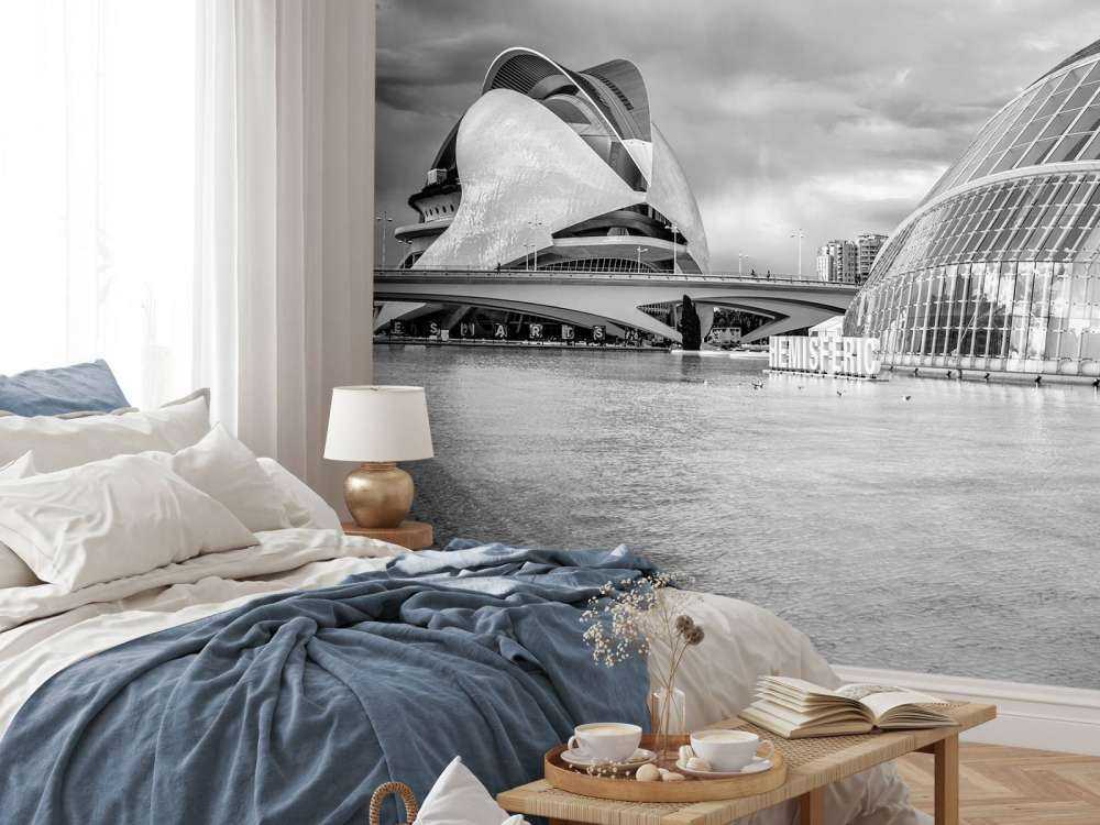 Opera - Palau de les arts Reina Sofia & Hemisfèric - Walencja