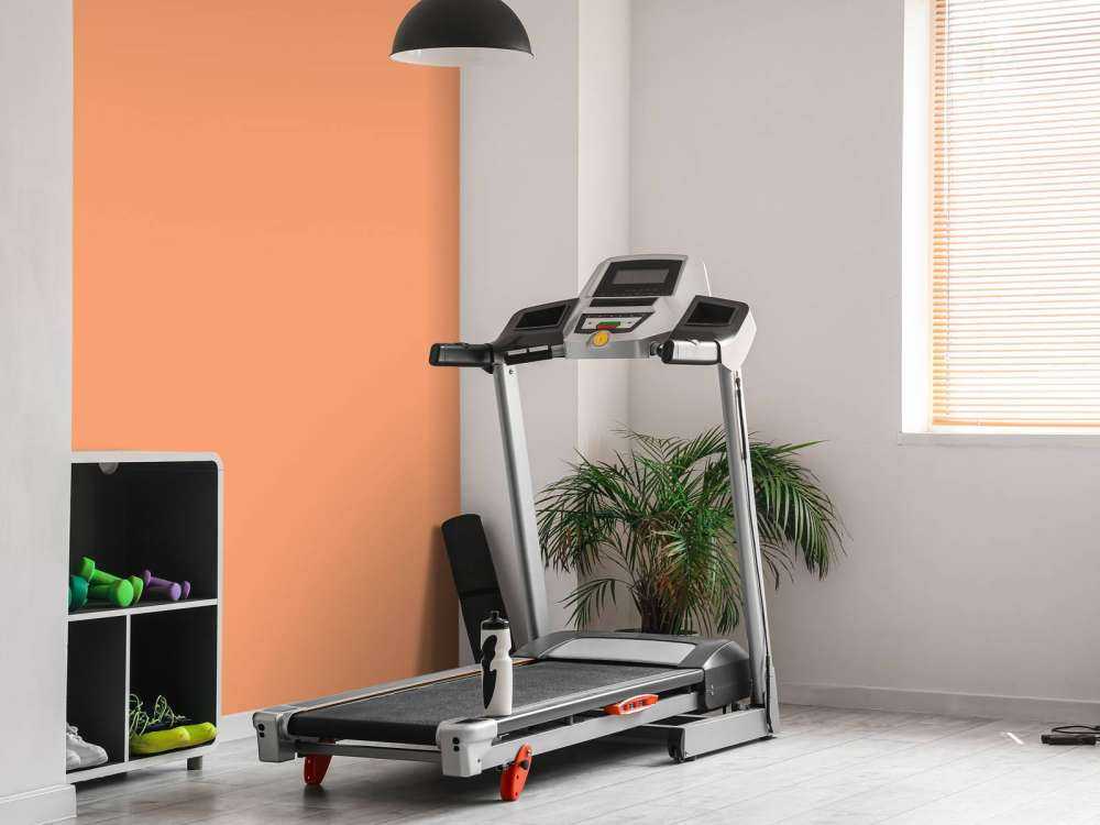 Różowa pomarańcza